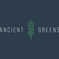 Wheatgrass Juice Powder Sachets